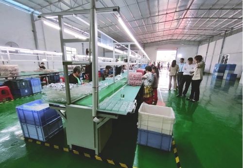 砥礪奮進(jìn)啟新程，鄉(xiāng)村振興謀新篇——浛洸鎮(zhèn)張陂村玩具加工廠隆重開(kāi)業(yè)